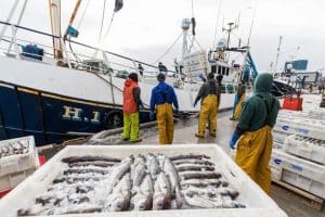 Sustainable future for UK fishing