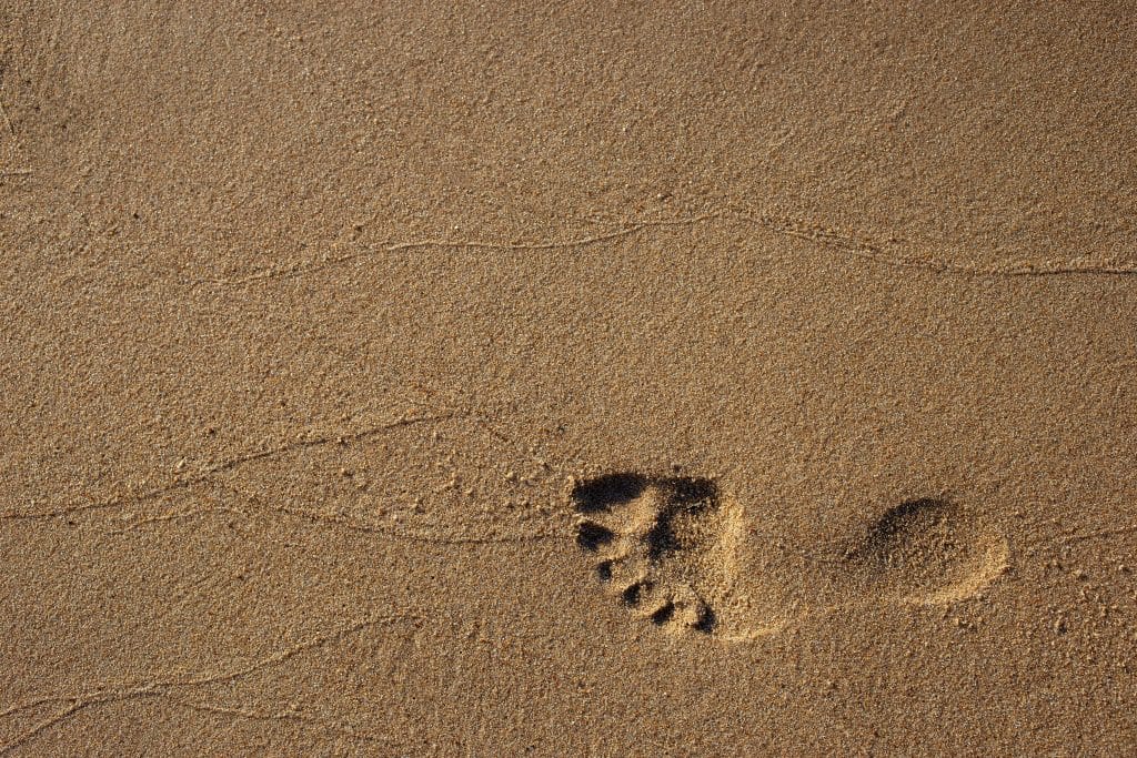 Footprint in sand signifying taking first step to reducing company's carbon footprint