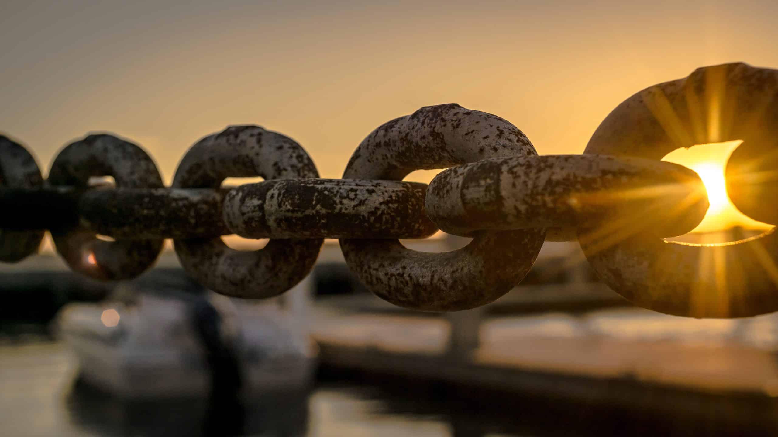 Empower Procurement For success. Photo by Photo by Joey Kyber: https://www.pexels.com/photo/selective-focus-photoraphy-of-chains-during-golden-hour-119562/